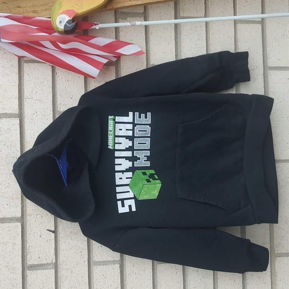 Minecraft/  Hoodie -